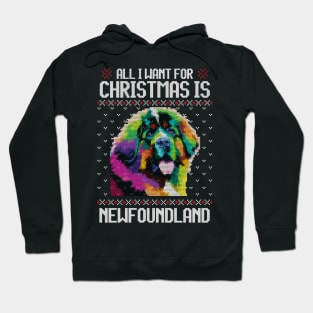 All I Want for Christmas is Newfoundland - Christmas Gift for Dog Lover Hoodie